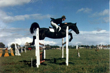 Ireland-Offaly-Offaly Equestrian Center